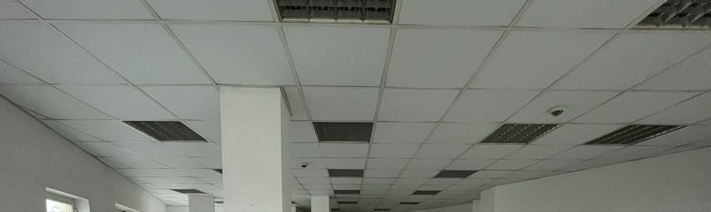 Tecto falso, placas e estrutura