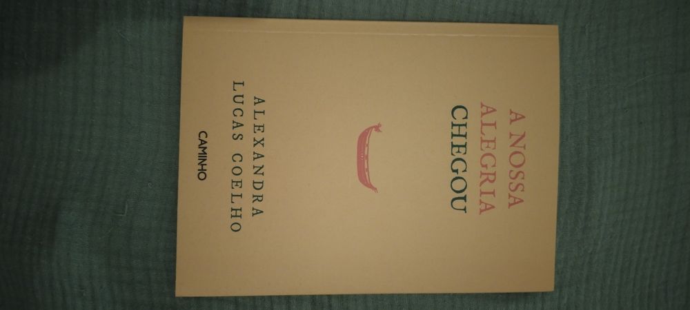 A Nossa Alegria Chegou - Alexandra Lucas Coelho