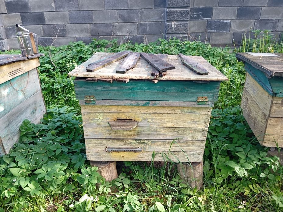 Продам вулики дадан