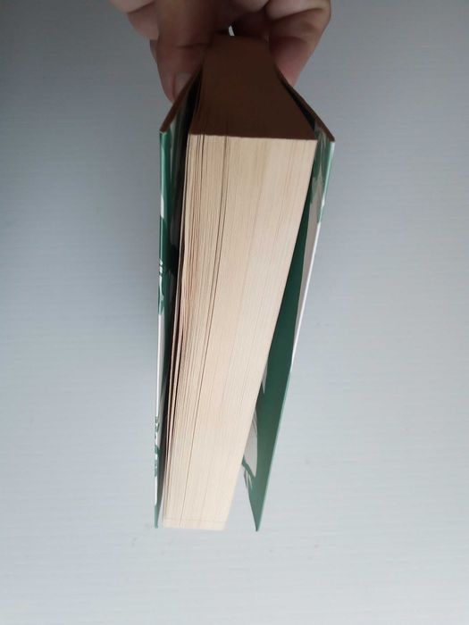 Livro "linger", de maggie stiefvater