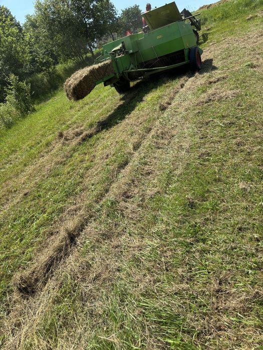 Siano kostki drugi pokos 2025