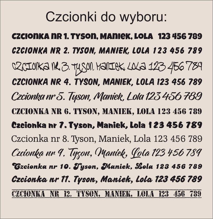 Identyfikator Zawieszka Adresówka Dla Kota Grawerowana Imię Telefon