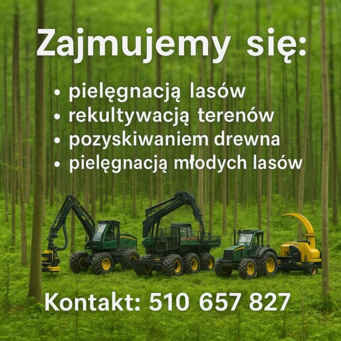 Wycinka drzew za drewno