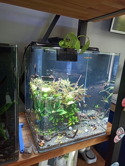 Sprzedam Aquael optibend 72l