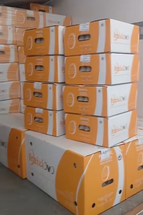 Caixas ovos 60 unidades Xl encomendas em casa