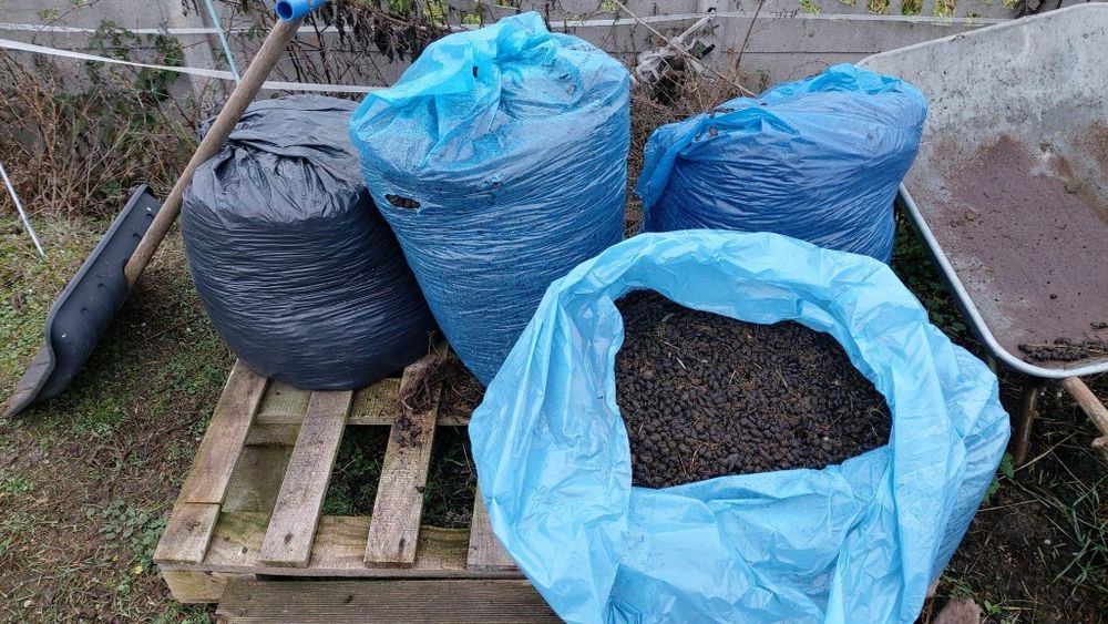 Obornik od alpak, ekologiczny nawóz.