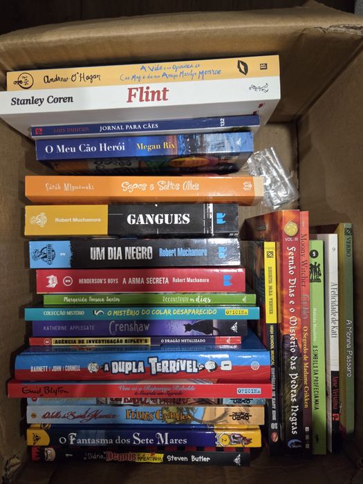 Vendo livros, várias temáticas