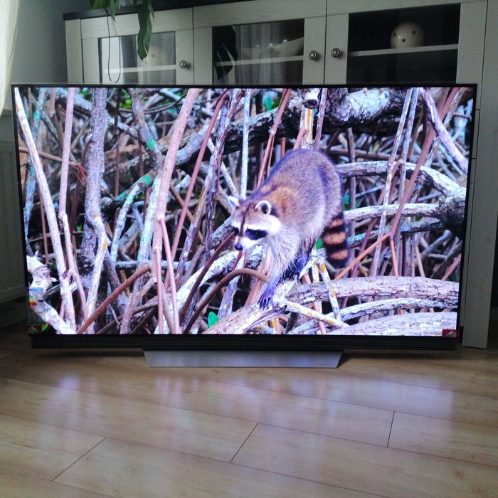 LG OLED 65E7V pilot