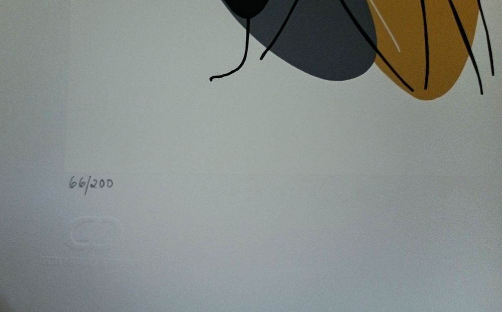 Serigrafia - Alexandra Priento