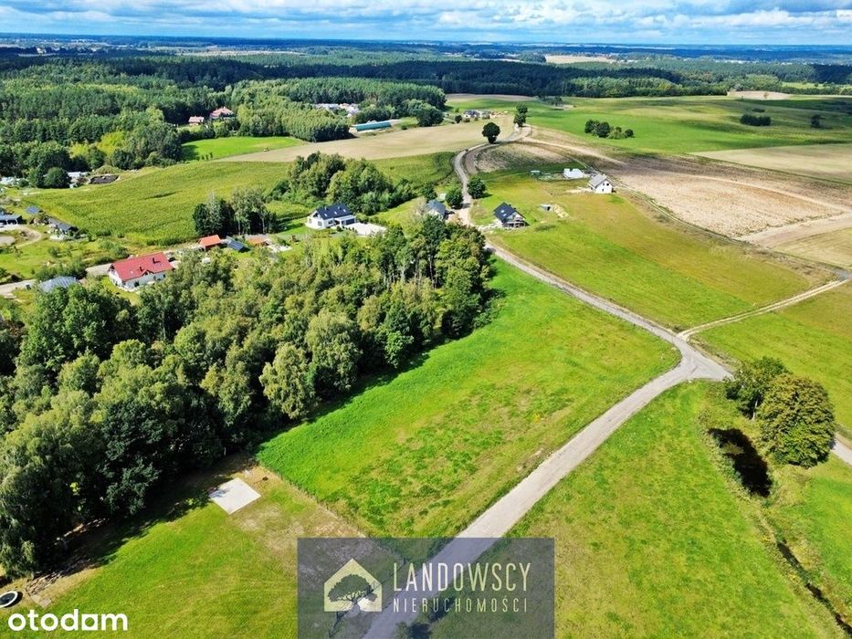 Zapewnij sobie wyjście z ogrodu do własnego lasu - Widok 3