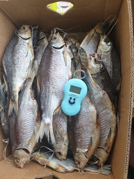 Плотва з ікрою.  Ікра толстолоб Густера Чехонь  Тарань сушена