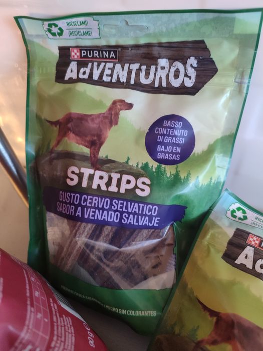 Conjunto de biscoitos para cao