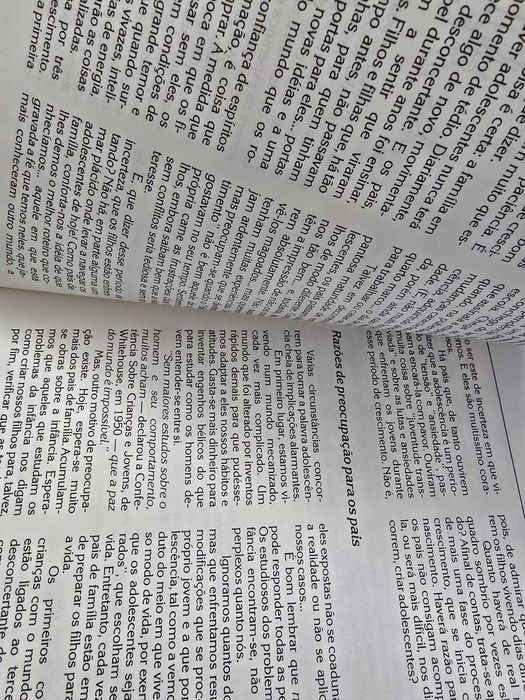 Seu Filho Adolescente - Maria de Lourdes Lima Modiano