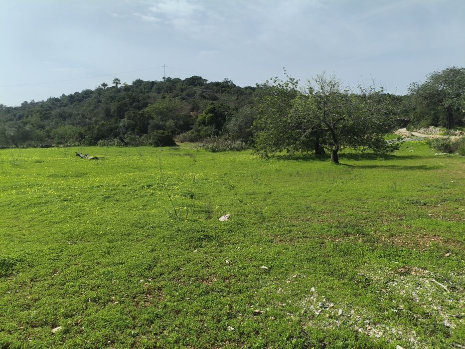 Vendo terreno agrícola Moncarapacho