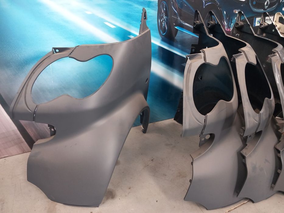 Guarda lamas Smart Fortwo 450
