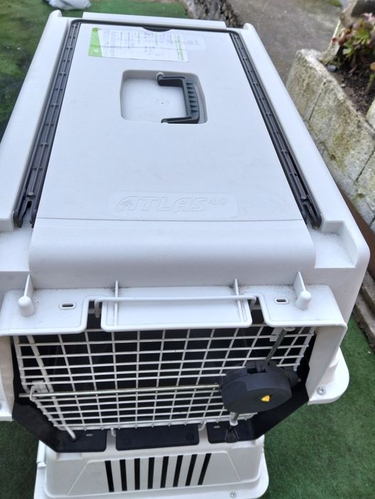 Caixa de transporte para cãozinho