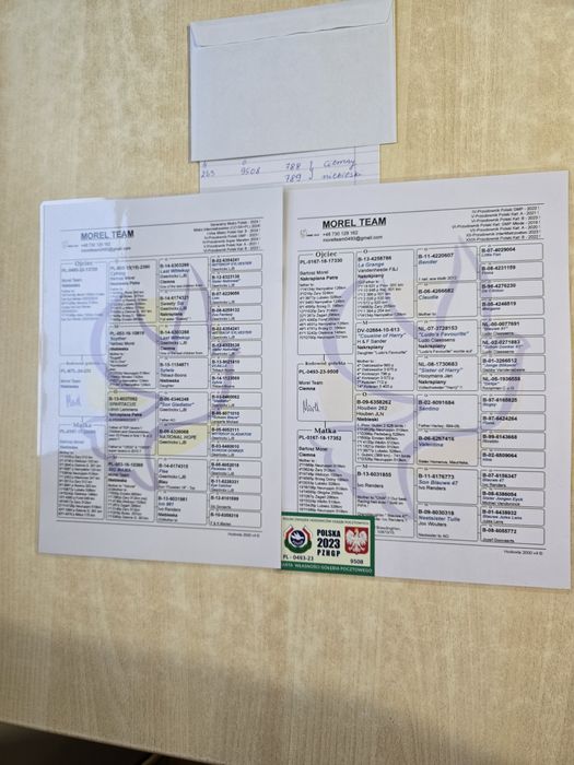 Gołębie pocztowe 74