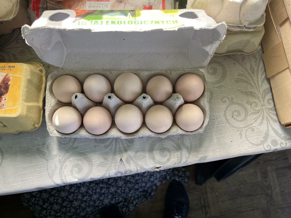 Jajka wiejskie z wlasnej hodowli