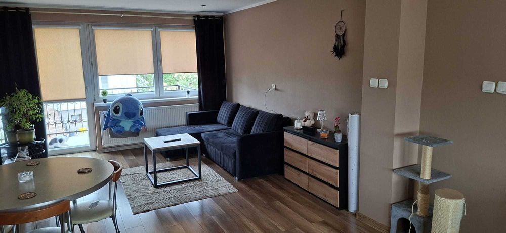 2mieszkania bezczynszowe M3 Brodnica Grunwald 2 w ocieplonym domu z ogrodem. Spokojne osiedle,w poblizu przedszkole,szkola, Biedronka,szpital