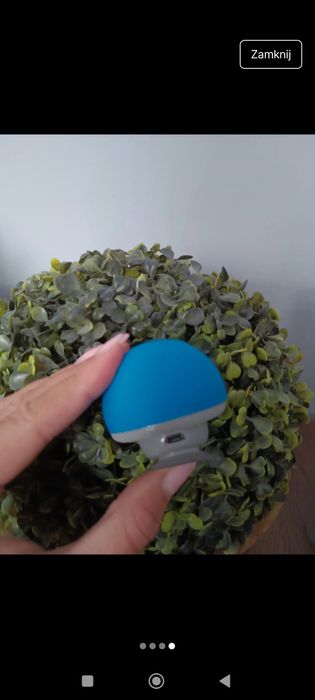 Głośnik przenośny Bluetooth