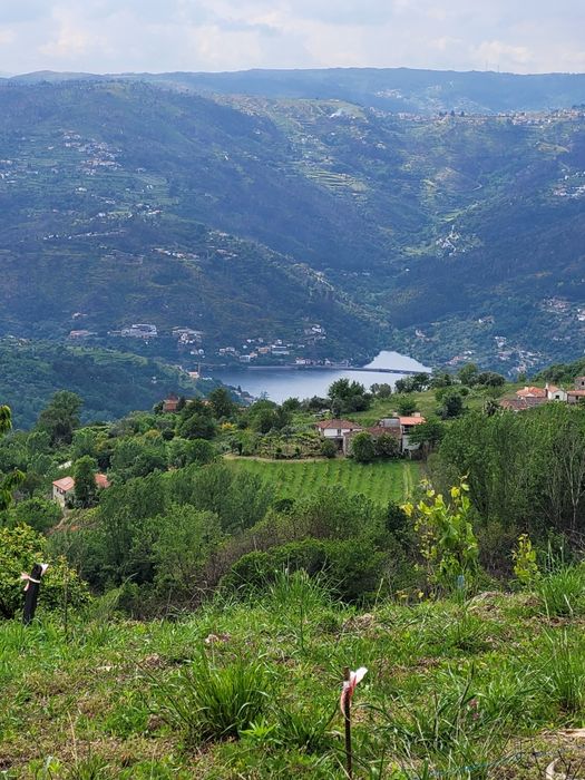 Terreno c/ projeto aprovado+licença construção- vistas RIO!