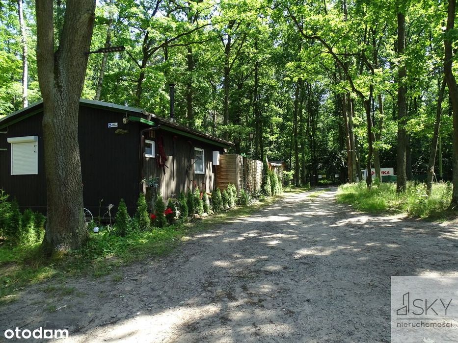 Całoroczny domek nad stawami | Wilczyn Leśny