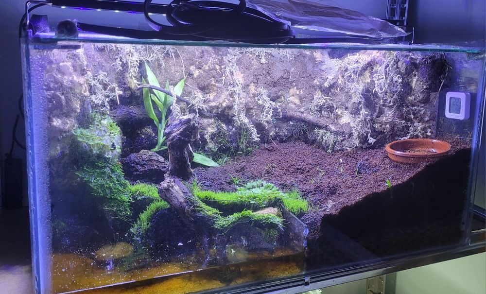 Paludário/Terrario Bioativo Completo 100L – Com LED, Cascata, Plantas, Camarões e Caranguejos Vampiros