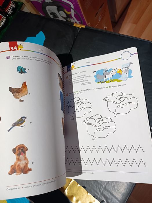 Conjunto de livros de atividades