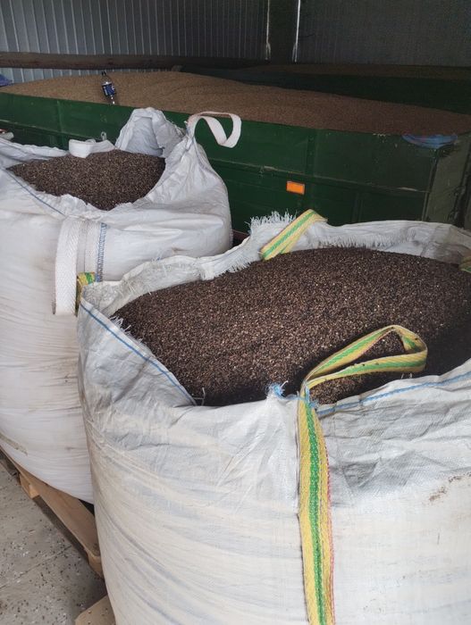 Sprzedam grykę, reczke