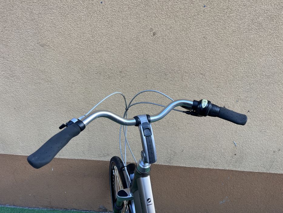 Rower Holenderski *GIANT FUTURO*