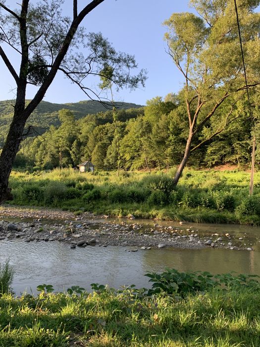 Здається номер, поверх(3 кімнати) Закарпатття, Квітка Полонини,Солочин