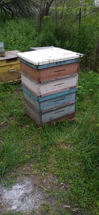 Суш, полурамка!!