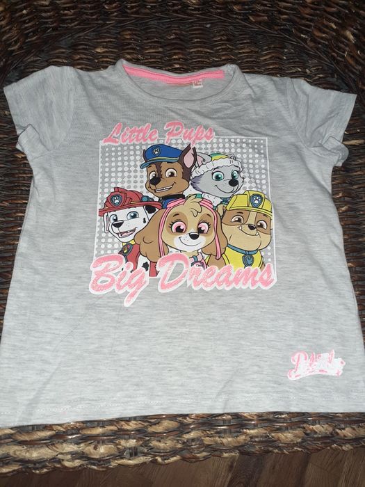 T-shirts varias minnie/unicórnio/ patrulha pata