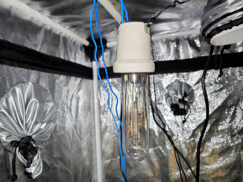 Estufa horta usada com acessórios incluídos