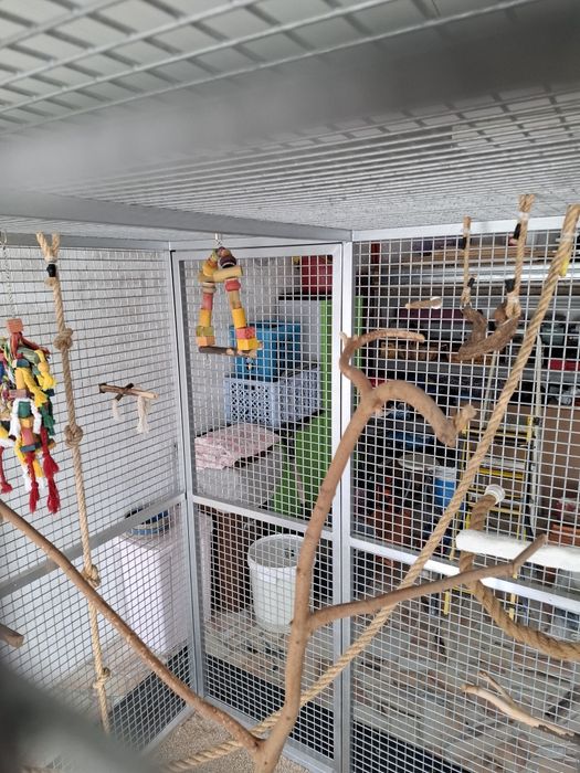 Gaiola para Aves