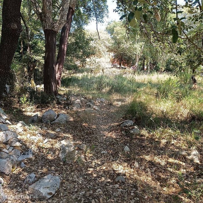 Terreno  para venda