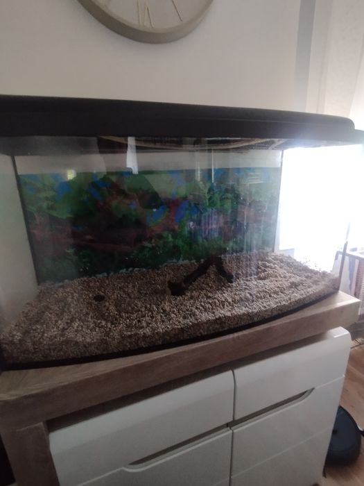 Sprzedam akwarium