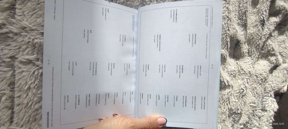 Klaczka Zangersheide po R-Champagne KZ