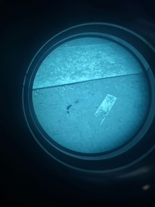 Night vision BNVD1431 / Photonics 4G MilSpec White Phosphor 2500+ FOM