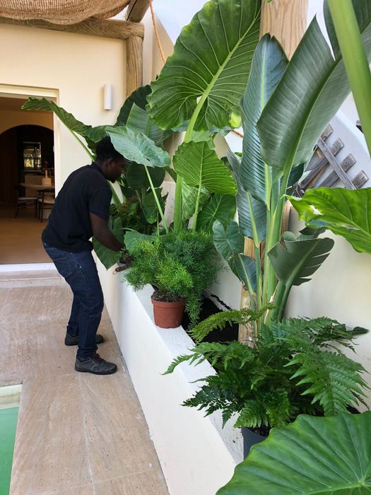 Jardins Costa | Jardinagem e paisagismo