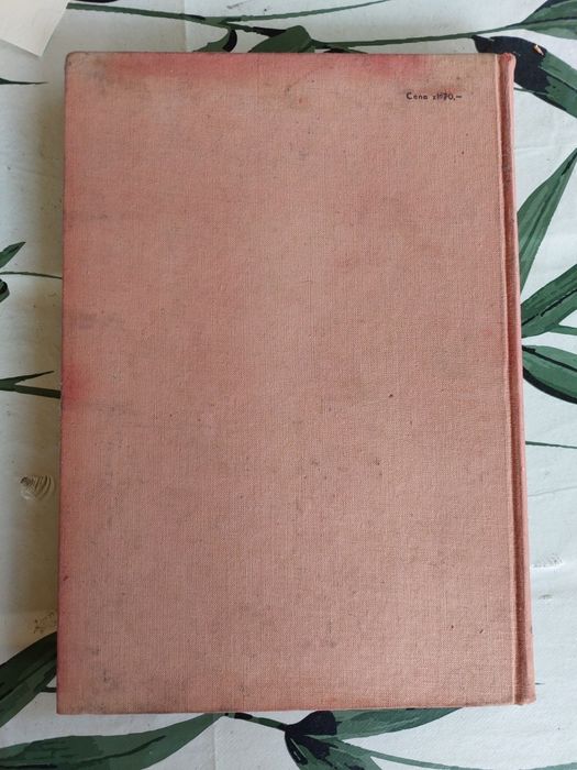 Naprawa samochodów MZMA Moskwicz