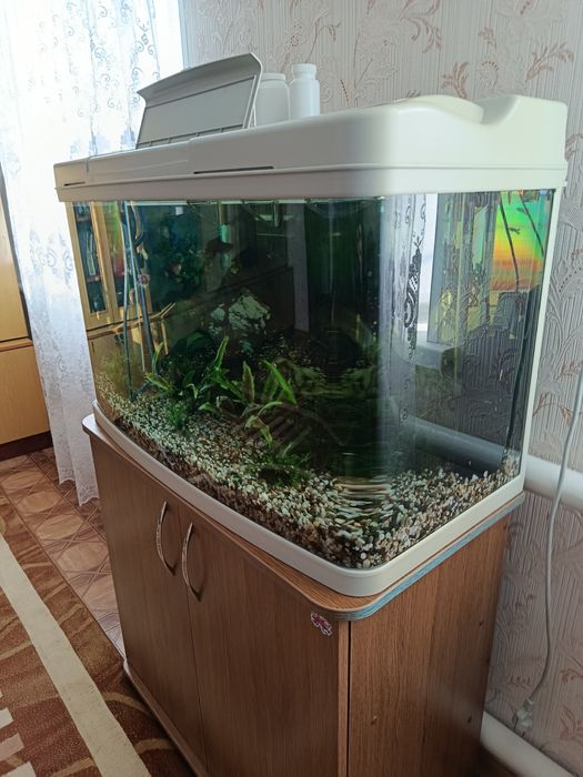 Акваріум панорамний 120