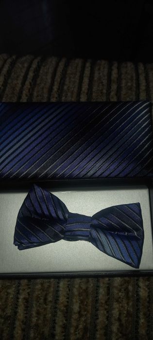 Modna mucha w paski G. Lehmann – regulowana, elegancka, w pudełku