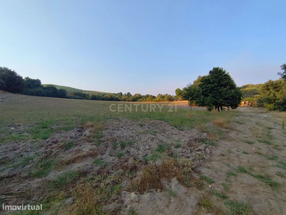 Rustic Property with Approximately 4.5 Hectares and Warehouse | Chaves