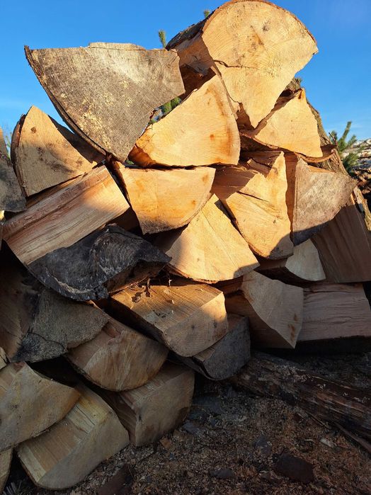 Sprzedam drewno opałowe/kominkowe od 230 pln