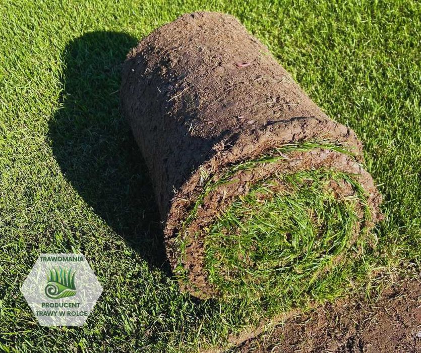 *** TrawoMania - trawa z rolki prosto od producenta ***