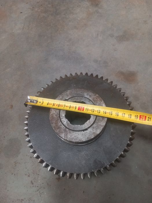 Koło wrzeciennika tuj