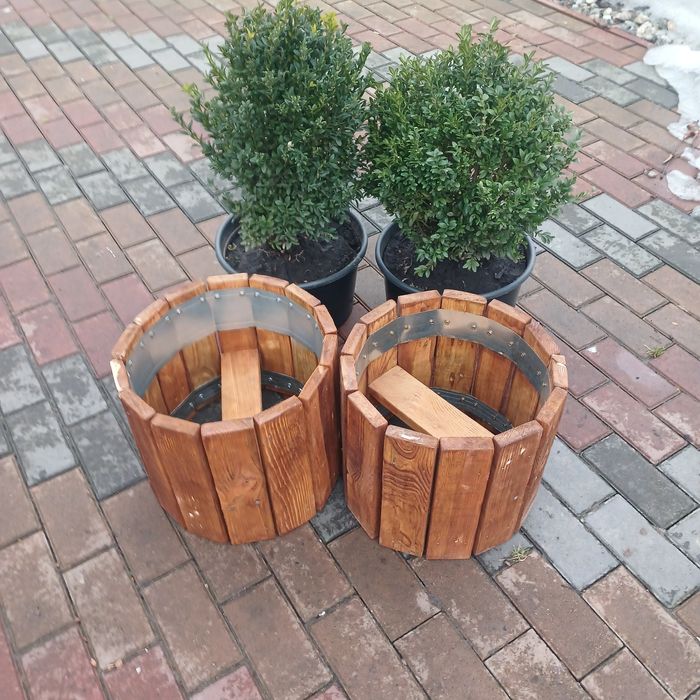 Кашпо з Самшитом, для саду, тераси