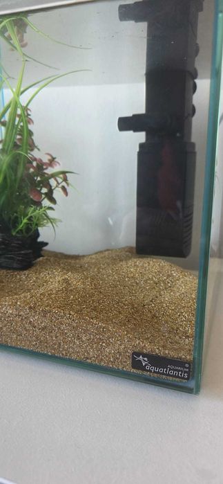 Vendo aquário Cubo 15L