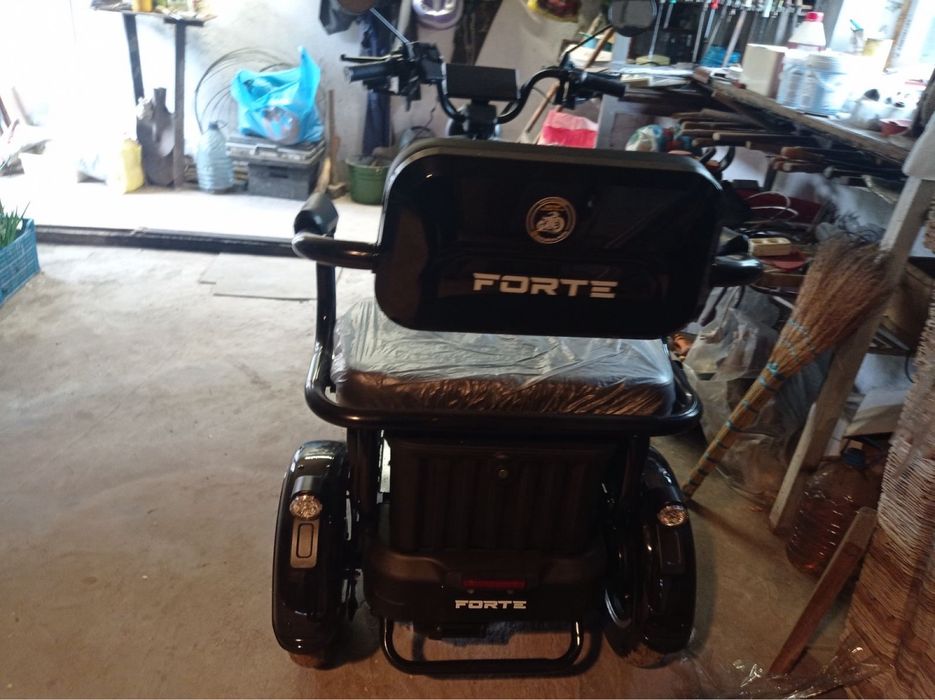 Електротрицикл Forte Family